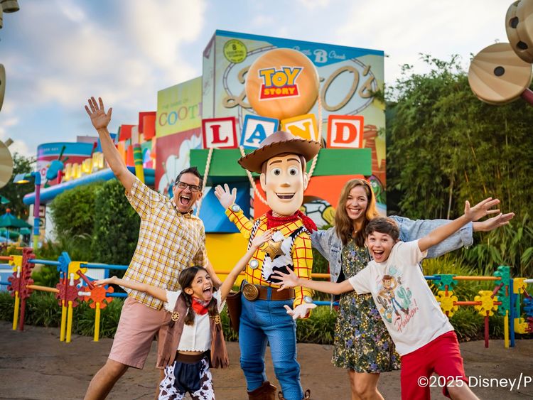 Walt Disney World Ticket in Florida Orlando - Klook