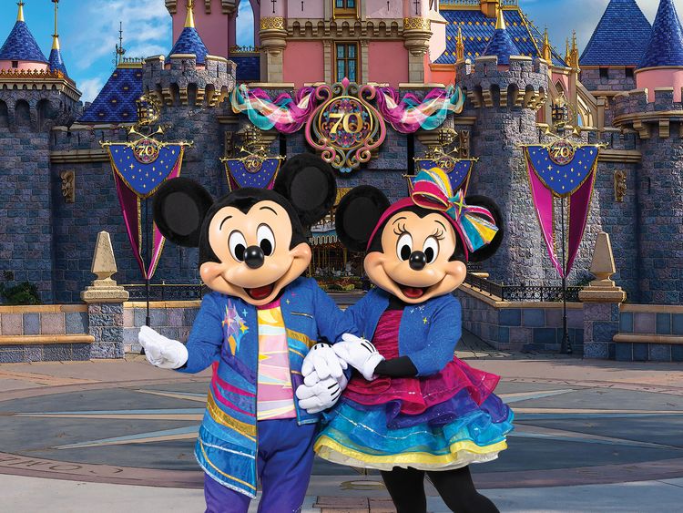 高評価！ カリフォルニアディズニーランドリゾート チケット キャラクターグッズ