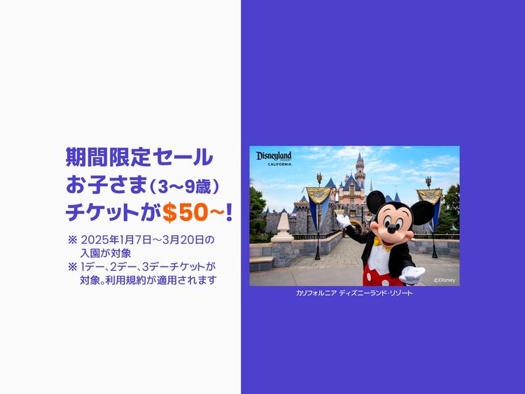 ディズニー ハッピーエントリー券 2025年2月20日まで むずかしく