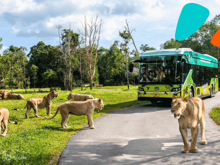Vinpearl Safari Phu Quoc Ticket, Vietnam - Klook