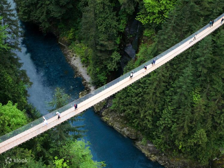 Capilano Suspension Bridge Park Ticket in Vancouver - Klook United States