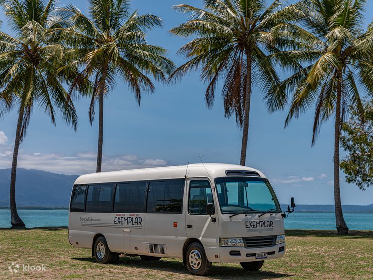 Cairns Airport Shuttle Bus to Cairns, Port Douglas, Palm Cove - Klook Australia