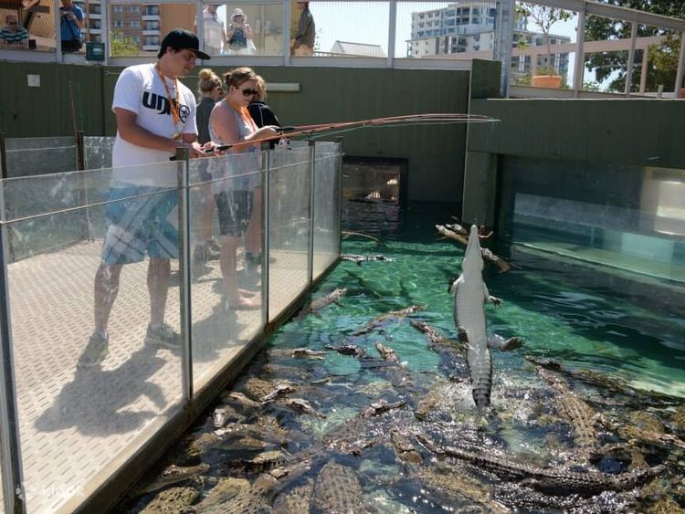 Crocosaurus cove discount discount