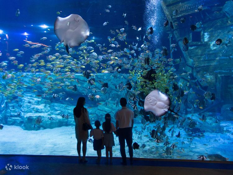 Fish world aquarium on sale