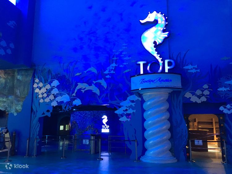 Boutique Aquarium Ticket at The TOP Penang Klook United States