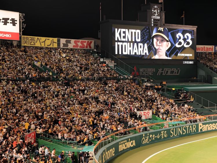 阪神タイガース 5/19(日)ヤクルト戦  甲子園歴史館 ペアチケット 阪神タイガース - 9月11日（ 木）甲子園球場 阪神対DeNA戦