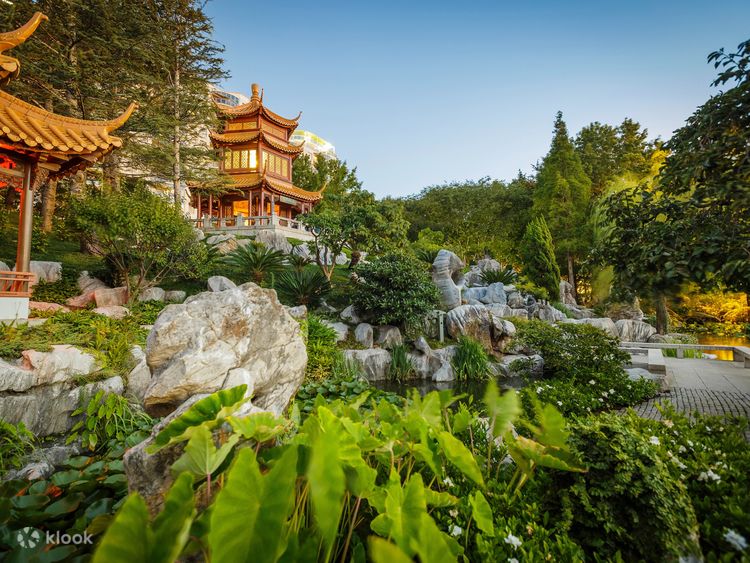 Mandarin garden cheap