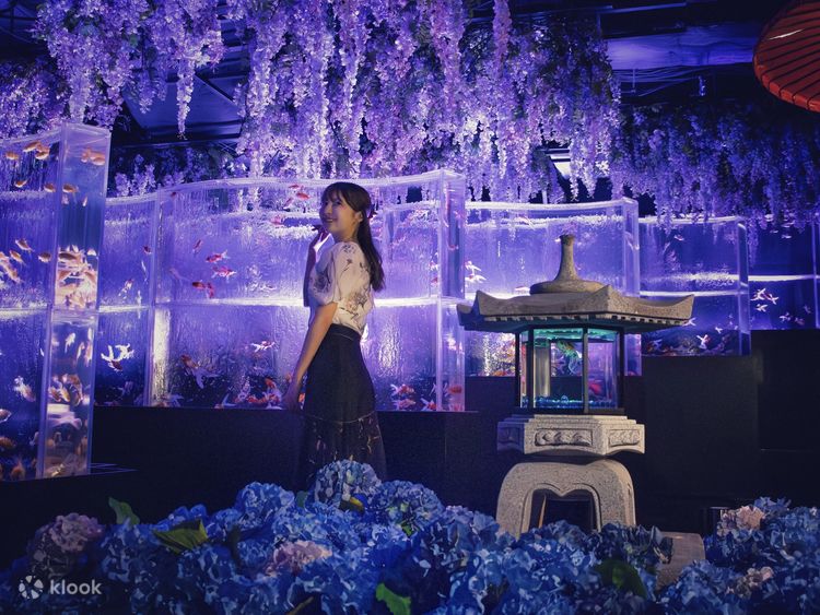 Art Aquarium Museum GINZA Admission Ticket - Klook New Zealand