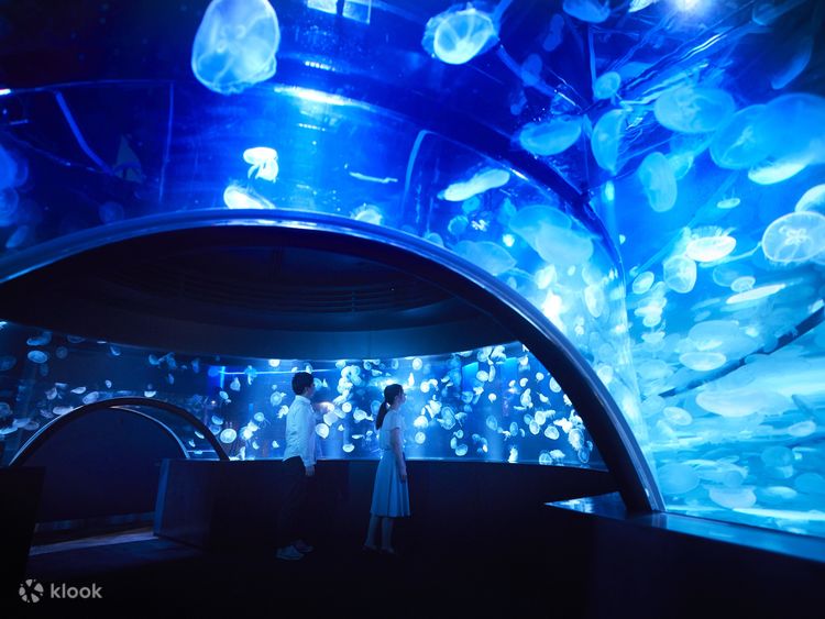 Kyoto Aquarium Admission Ticket in Japan - Klook United States