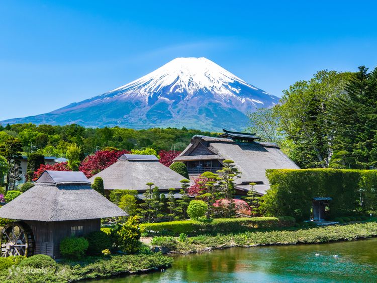 富士山日帰りツアー：新倉山浅間公園、忍野八海、そして穏やかな