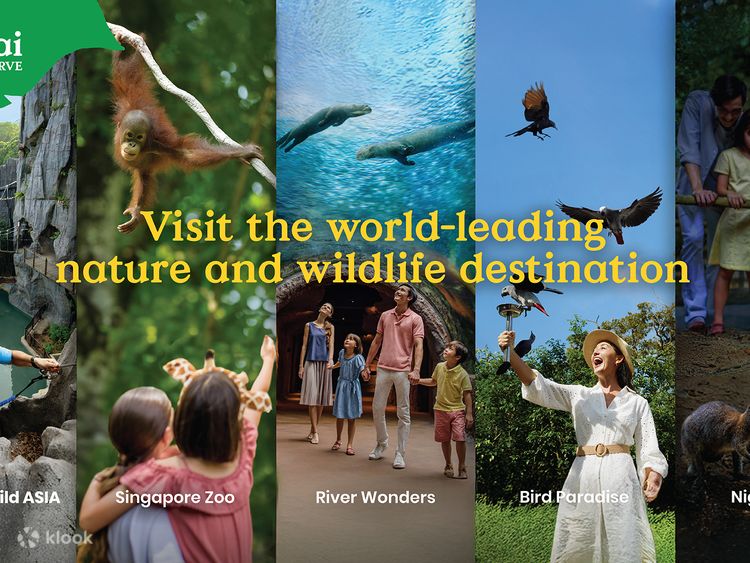 Safari Wildlife Wonders ( ワイルドライフ ワンダーズ