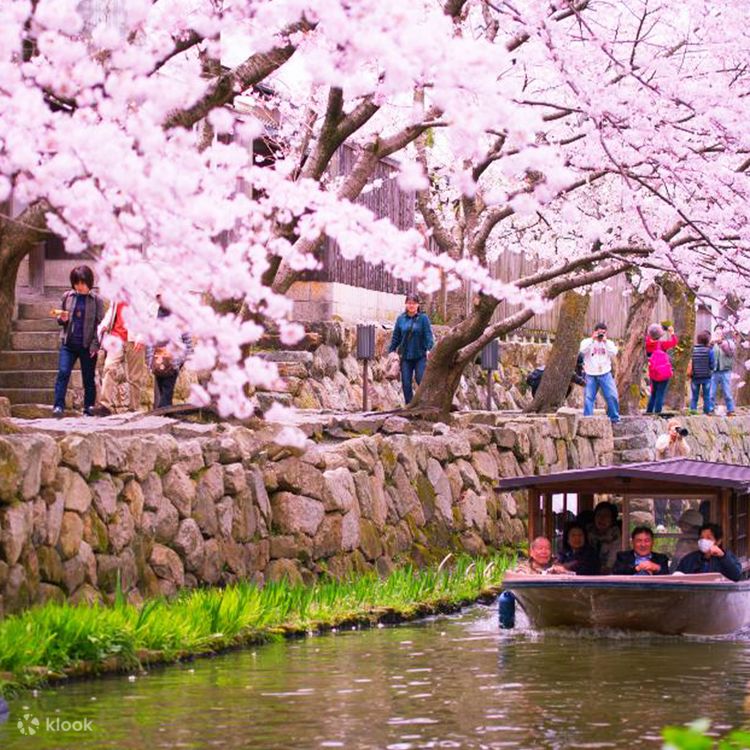 Cherry Blossom Season Only - Kansai Miho Museum/Omihachiman Cherry Blossom Season Only - Kansai Miho Museum/Omihachiman
