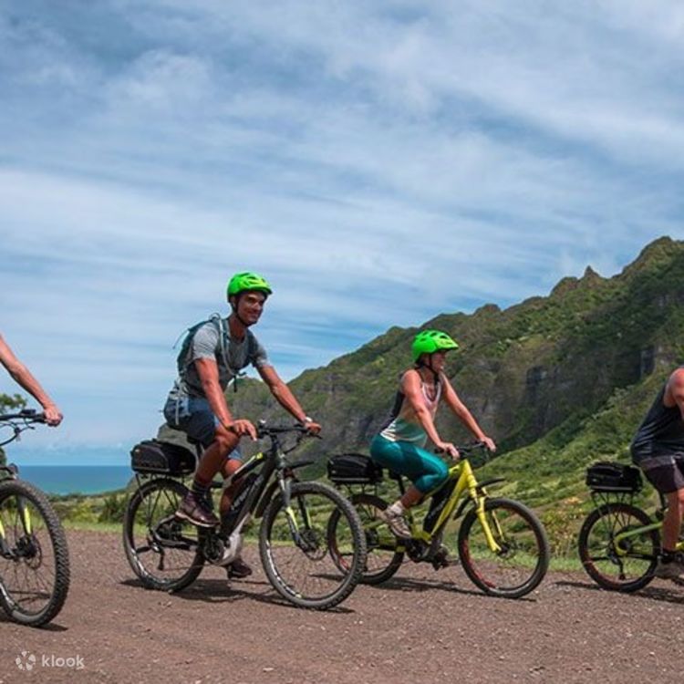 Electric mountain bike usa clearance