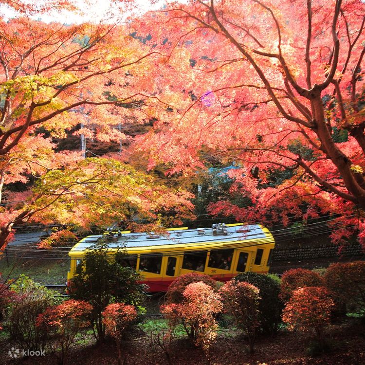 Pseudo Echo – Autumnal Park – Live (US CD) | myvinyldreams