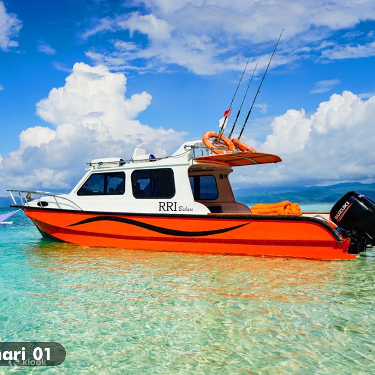 Private Day Trip from Labuan Bajo: Unforgettable Island Adventure