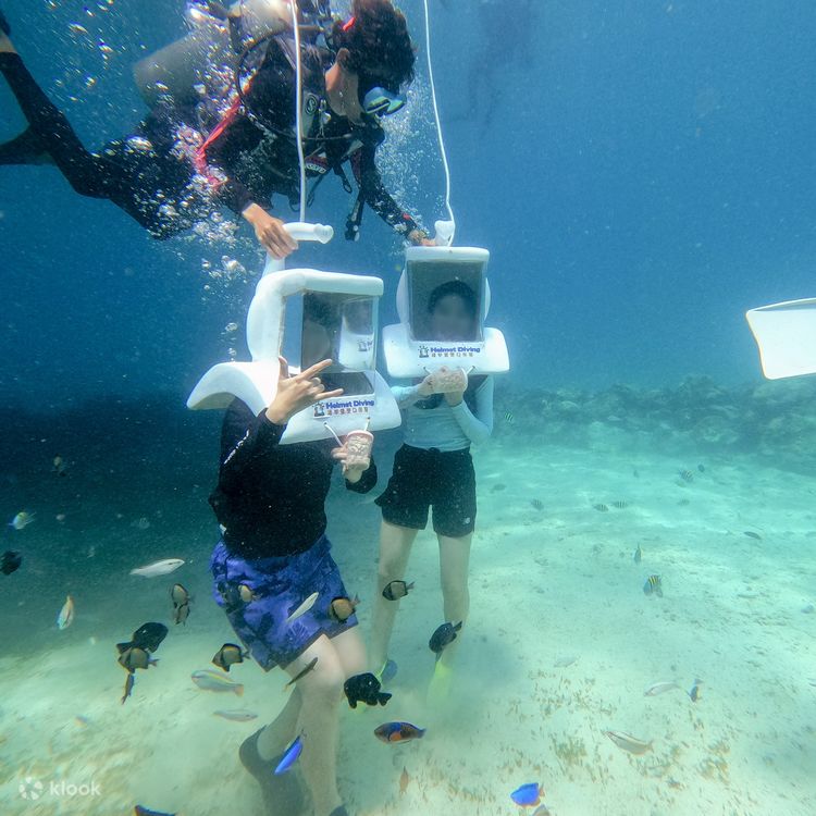 ダイビングヘルメット 米海軍 ダイバー 潜水士 玄関 観賞用 実物