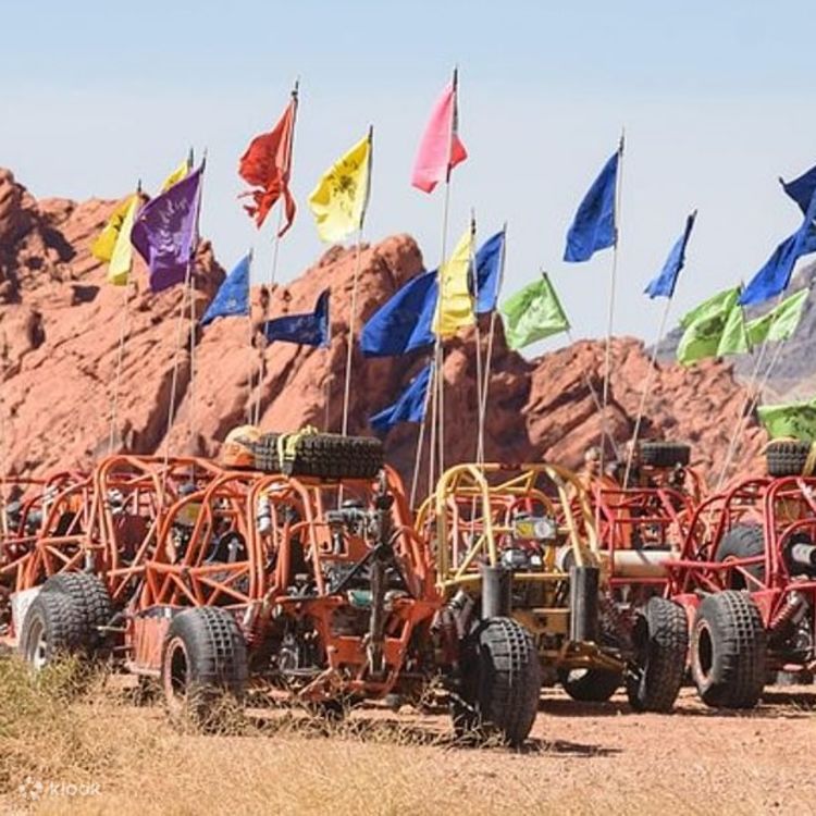 Valley of fire buggy tour clearance