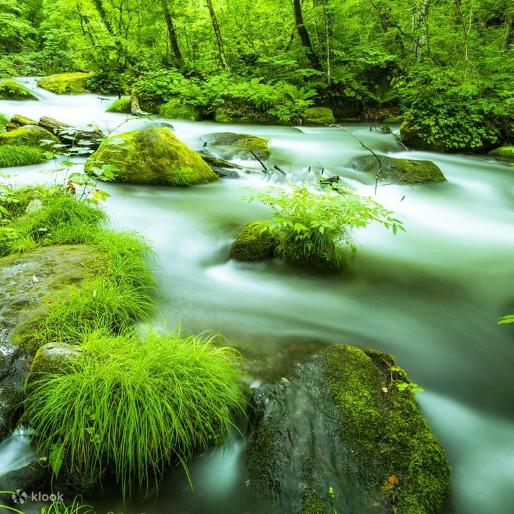 高山流水青山 Li Xinsheng - Wandering through Lofty Mountains and Flowing