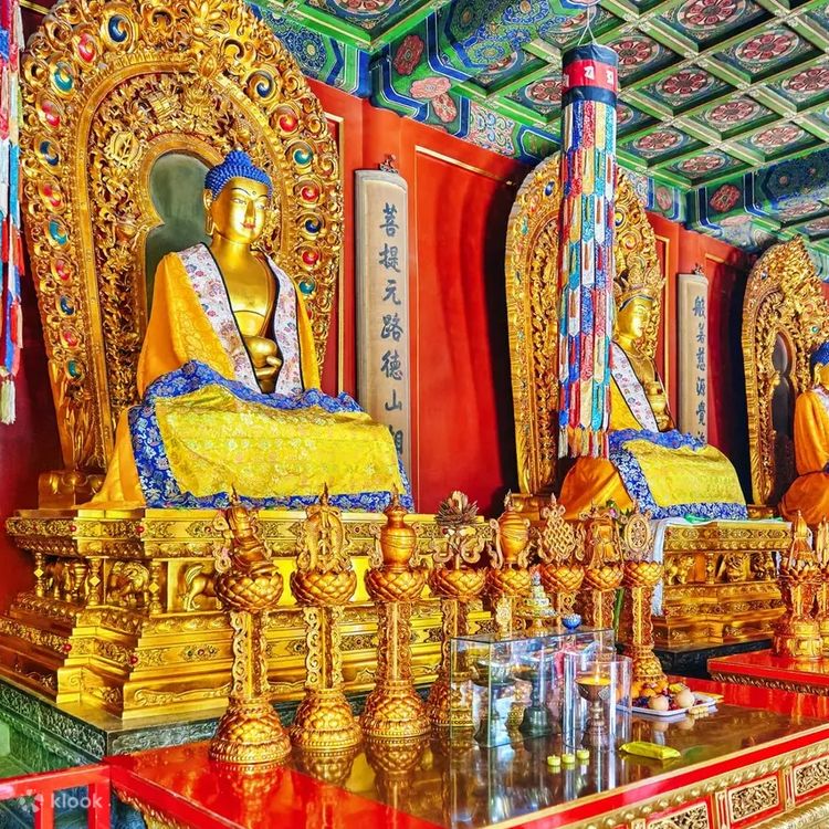 ラマ教寺院、孔子廟、国子監博物館へのプライベートツアー | Klook ラマ教寺院、孔子廟、国子監博物館へのプライベートツアー | Klook