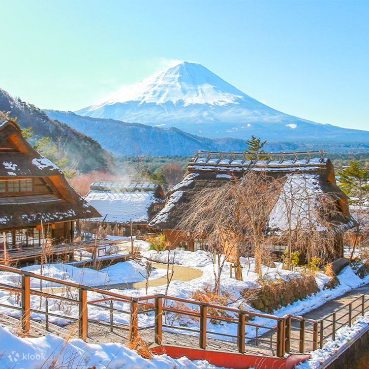Mount Fuji West Lake Healing Reagan Field & Kawaguchiko Lake
