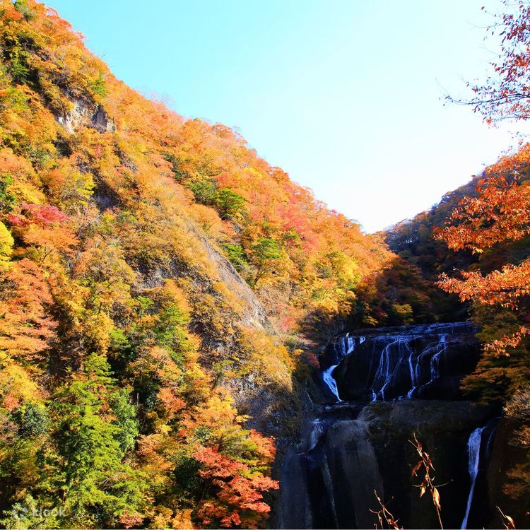 Ibaraki: One-day trip to Hitachi Maple Leaf Famous Spots