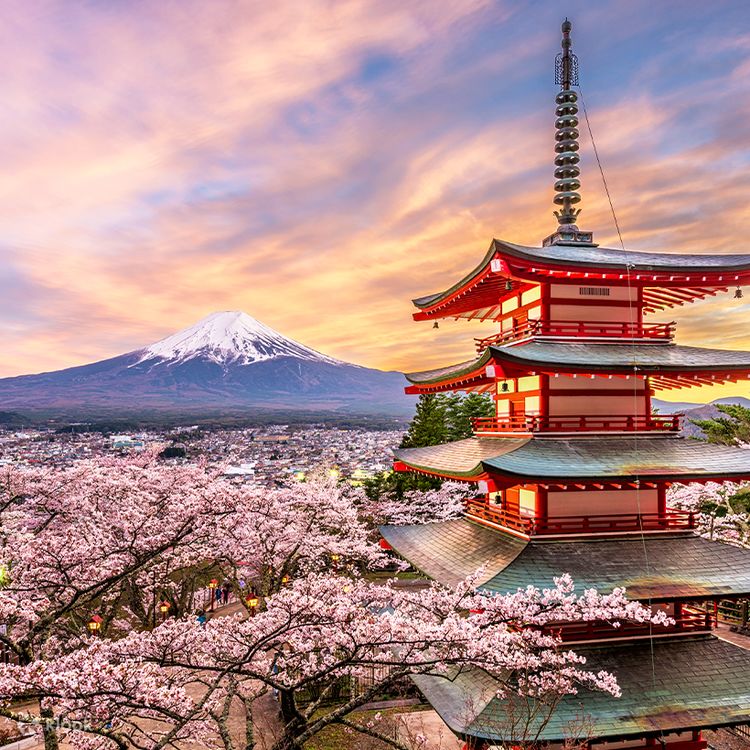 Mount Fuji G Line - Internet celebrity check-in one-day tour 