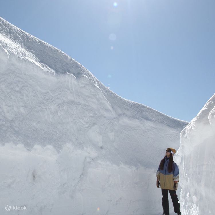 Snow Peak - sakura Hakuba Tsugaike Snow Wall & Shinshu's 2 Best Cherry Blossom