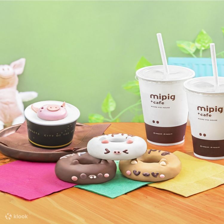 Micro Pig Cafe Experience in Harajuku - Klook United States