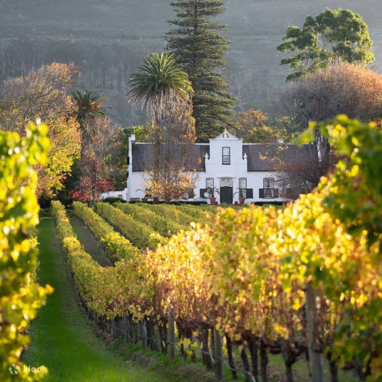 Best Wineries Wineries In Cape May County The Best Wineries With