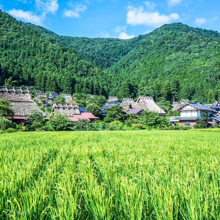 One-day tour of Amanohashidate, Ine Funaya and Miyama Gassho Village | Departing from Osaka - Klook