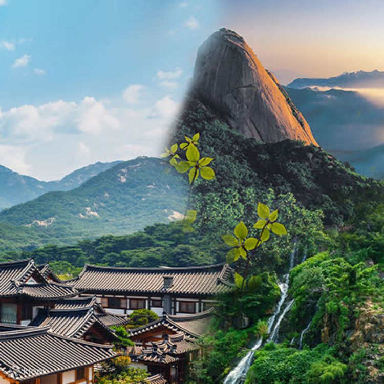 Bukhansan One Day Tour from Seoul Klook
