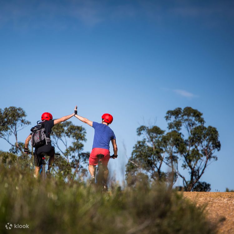The Oaks Beginner Self guided Bike Hire Trail in the Blue Mountains Klook United Kingdom