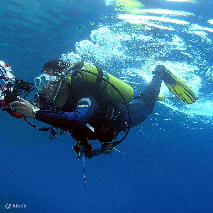 認定ダイバー向け 3D2N PADI アドバンス オープン ウォーター