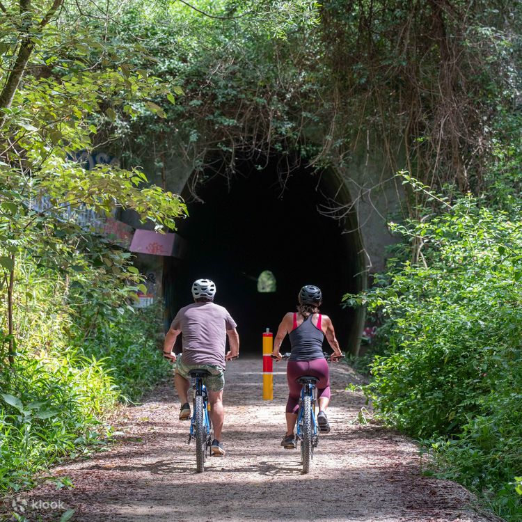 3 Hour Guided E bike Glow Worm Tour in Byron Bay Klook United Kingdom
