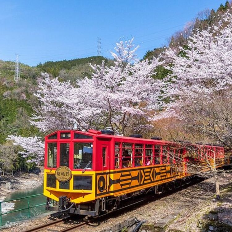 嵐山、保津峡、嵯峨野トロッコ列車と保津川下りの半日ツアーに 嵐山、保津峡、嵯峨野トロッコ列車と保津川下りの半日ツアーに