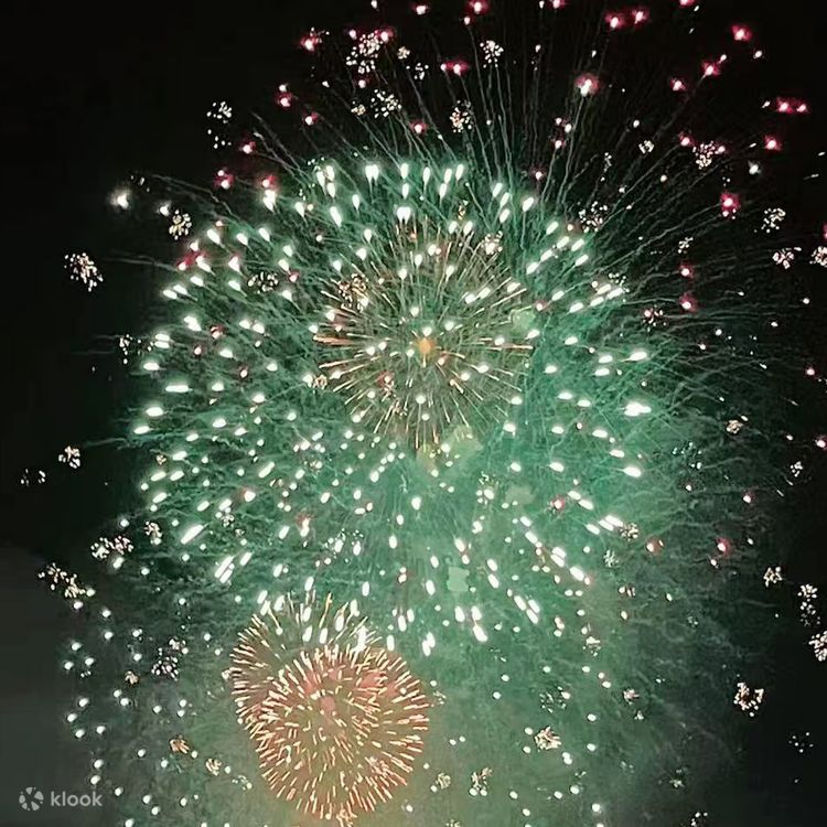 Cruise I Adachi Fireworks Festival I Wagyu Sukiyaki