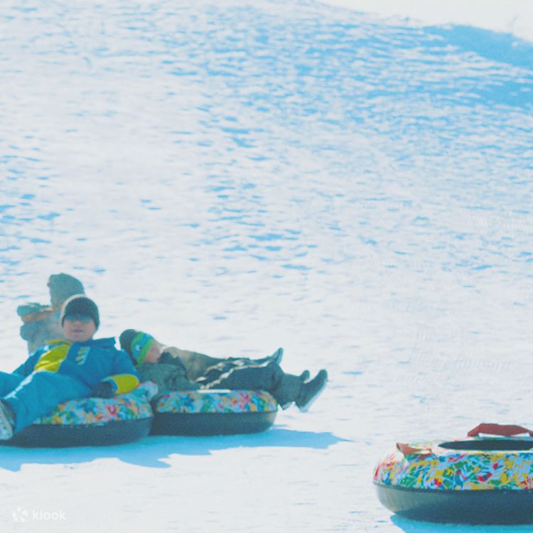 Hokkaido | Otaru & Shiroi Koibito Park & Snow Park 1-day