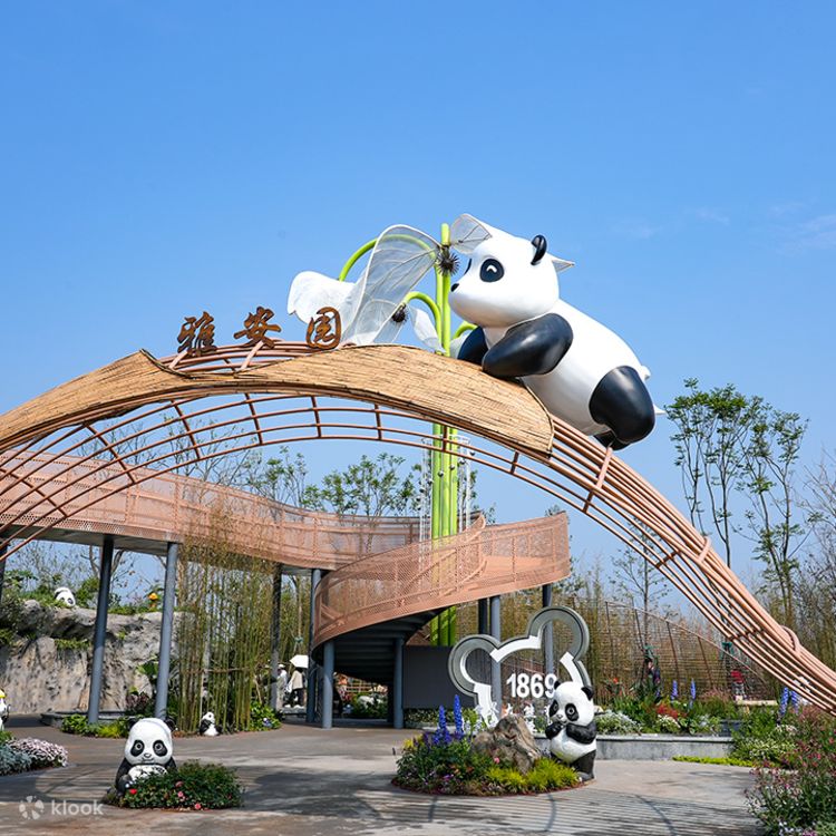 成都出發都雅安碧峯峽熊貓基地志願者體驗私家團一日遊- Klook香港
