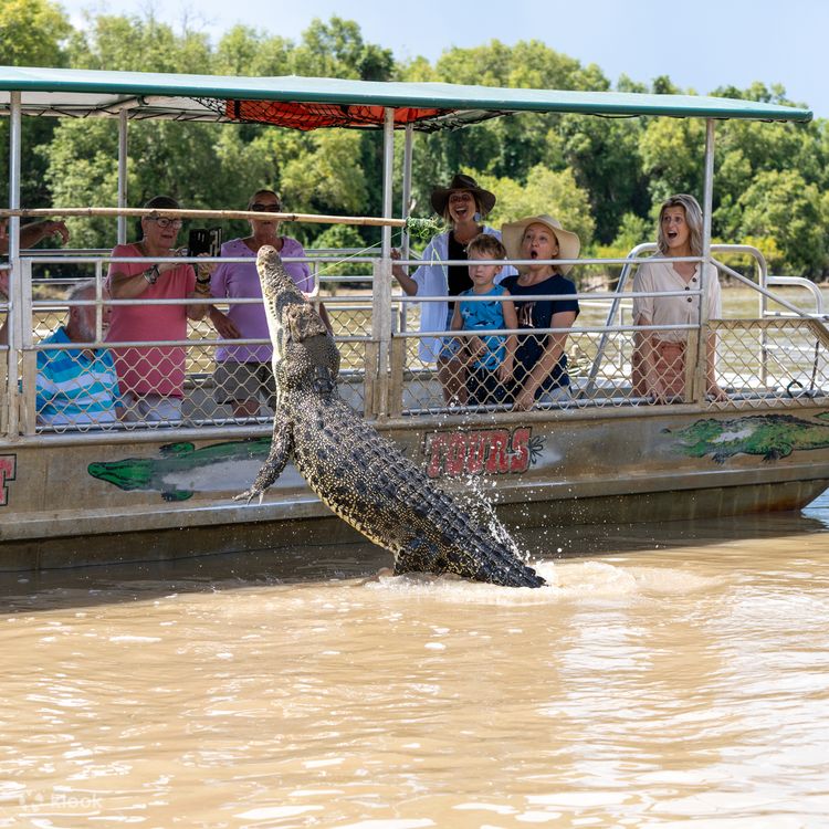 クロコダイルタングル 極まる
