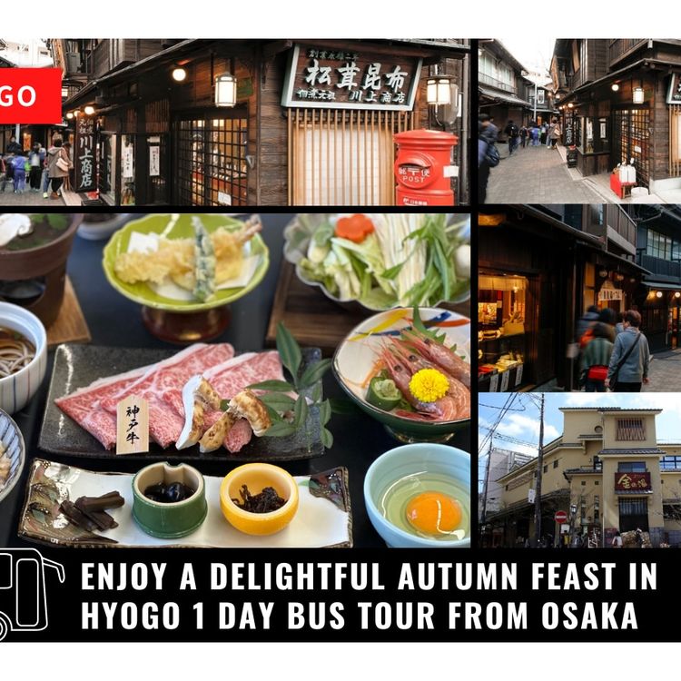 Osaka to kobe sanda premium outlet shop
