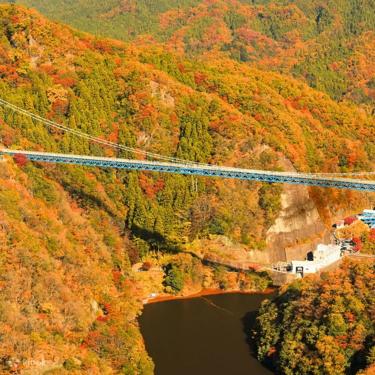 Ibaraki: One-day trip to Hitachi Maple Leaf Famous Spots