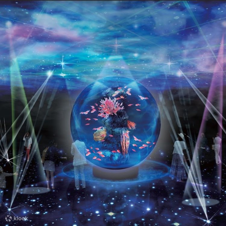 神戶港溫泉蓮旅館＆Atoa 劇場型水族館門票- Klook 客路