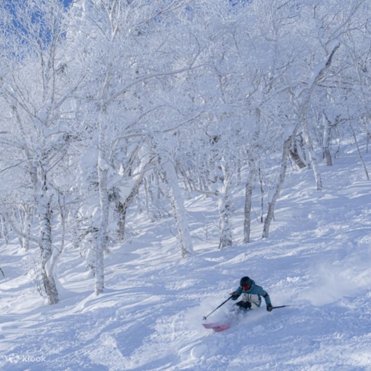 POWDER　4　パウダー　リフト券　残12時間 POWDER 4 パウダー リフト券 残12時間