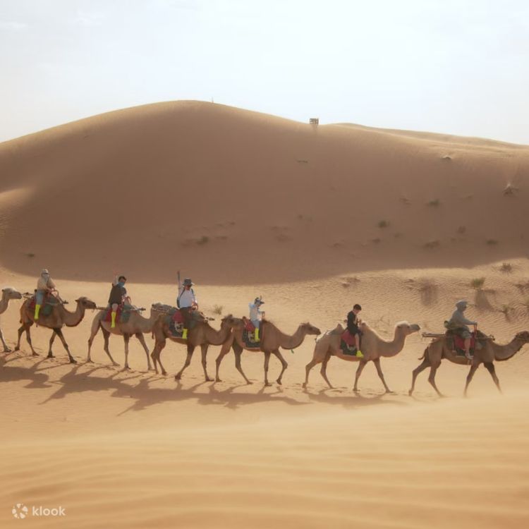 Ningxia Galaxy Plan 5 Days (Star Hotel + No. 7 Tent Hotel + Western Xia Royal Tombs + Helan Mountain Rock Paintings + Shapotou Desert Activity Experience + North Long Beach + Highway 66 + Tonghu Grassland) - Klook United States