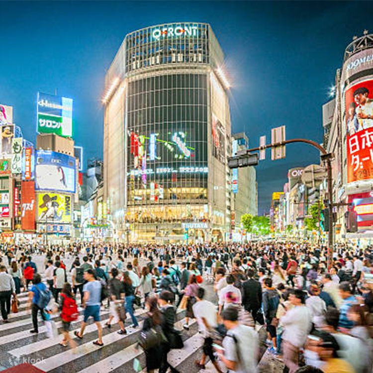 夜の散歩 東京：渋谷の夜の散歩ツアーと秘密の裏通り | Klook