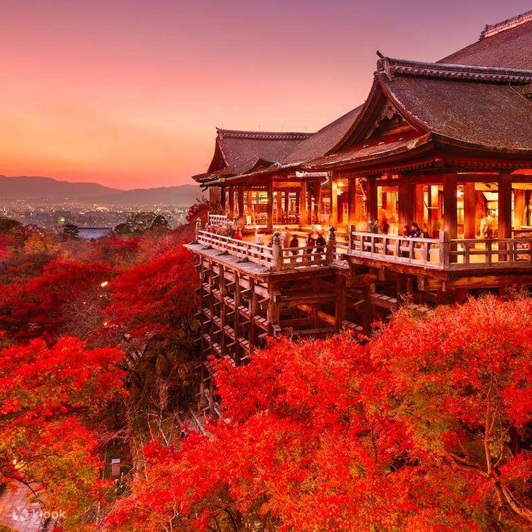 京都清水寺＆平安神宮＆伏見稲荷大社 日帰り紅葉狩りツアー