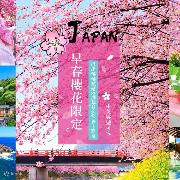 Cherry Blossom Village & Strawberry Picking Day Tour - Klook