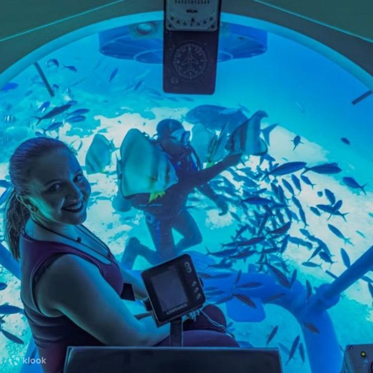 水中の驚異を探索：マカディ湾発シンドバッド潜水艦ツアー、往復