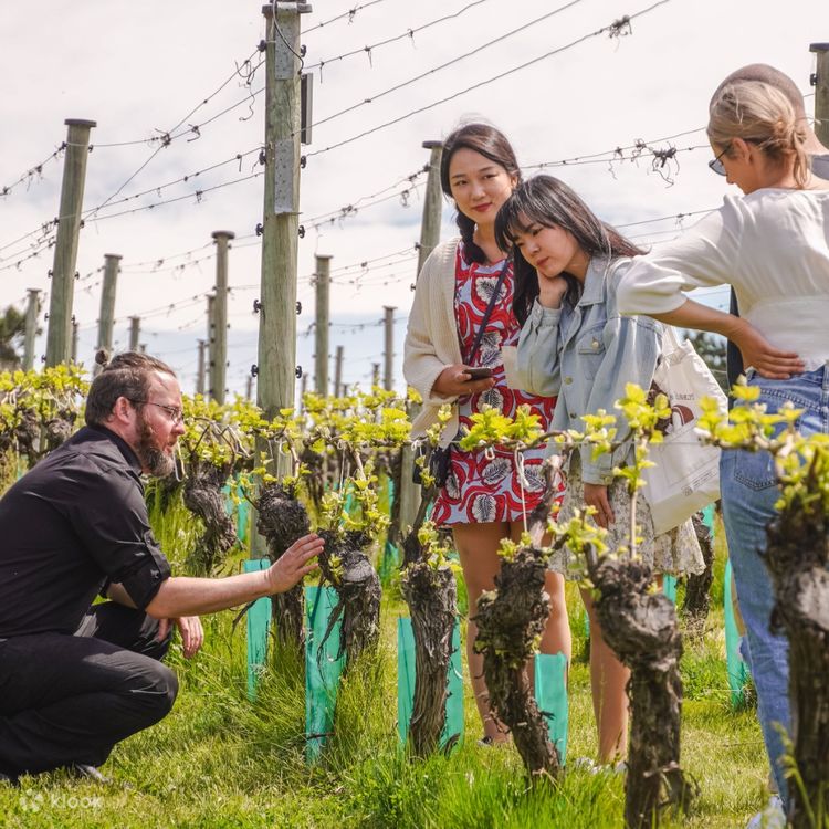 Vineyard tours near me top