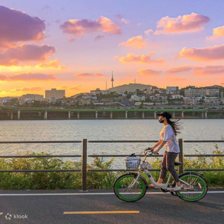ソウル汝矣島の桜、漢江公園、サンセット クルーズ | Klook